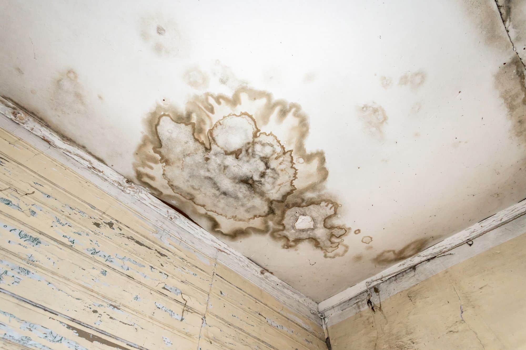 Mold spots on a ceiling and wall, indicating moisture damage, relevant to damp proofing and moisture protection in homes.