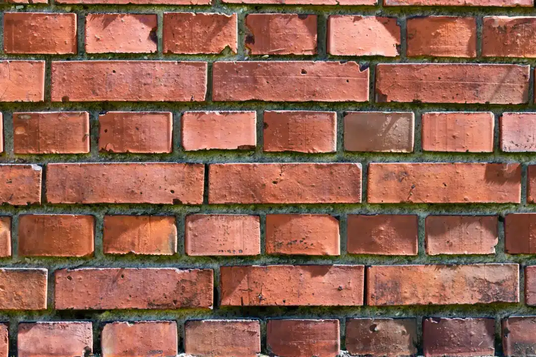 Brick wall with visible dirt and moss, illustrating the need for professional brick cleaning services to maintain aesthetic appeal and prevent damage.
