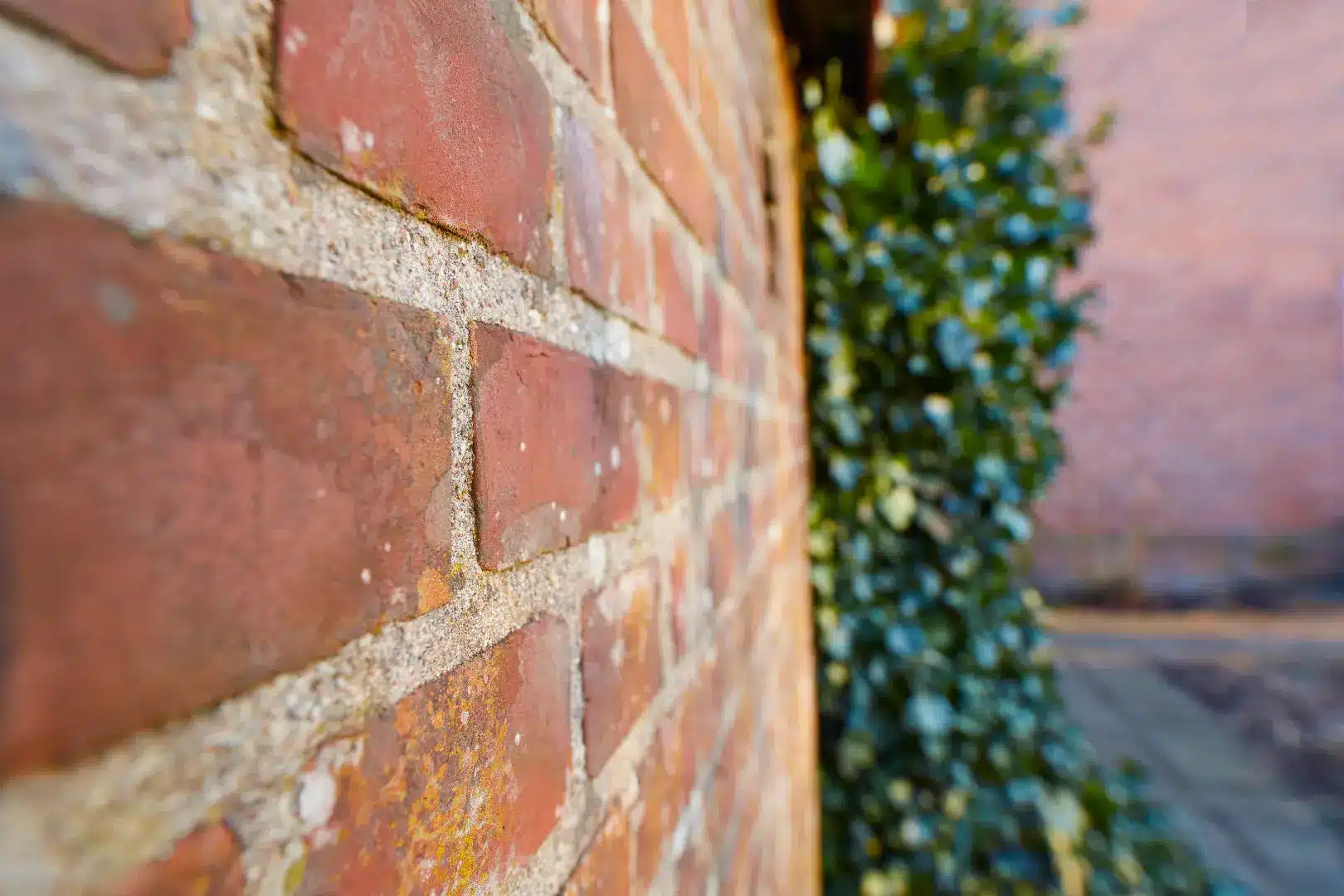 Close-up of brick wall showing texture and mortar joints, with greenery in the background, illustrating the importance of maintaining brickwork to prevent winter damage.